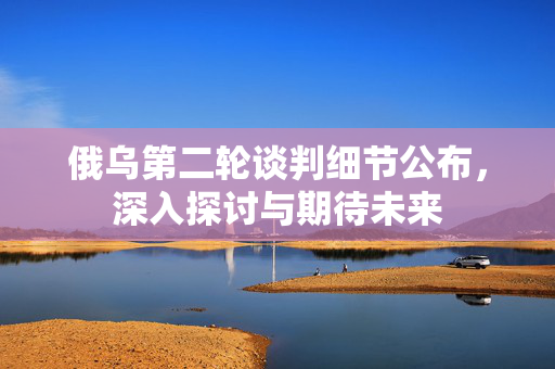 俄乌第二轮谈判细节公布，深入探讨与期待未来