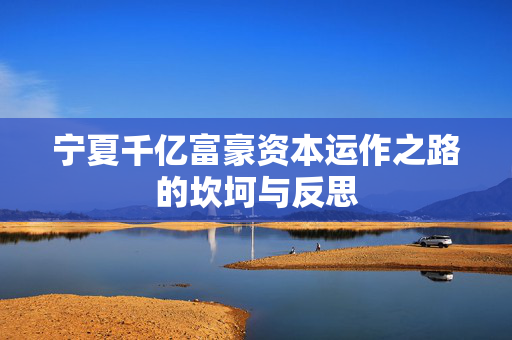 宁夏千亿富豪资本运作之路的坎坷与反思