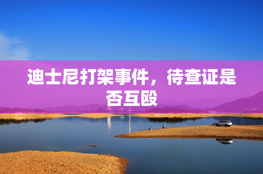迪士尼打架事件，待查证是否互殴