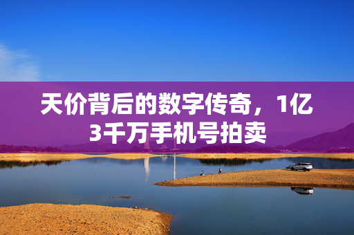 天价背后的数字传奇，1亿3千万手机号拍卖