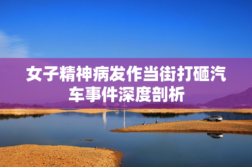 女子精神病发作当街打砸汽车事件深度剖析