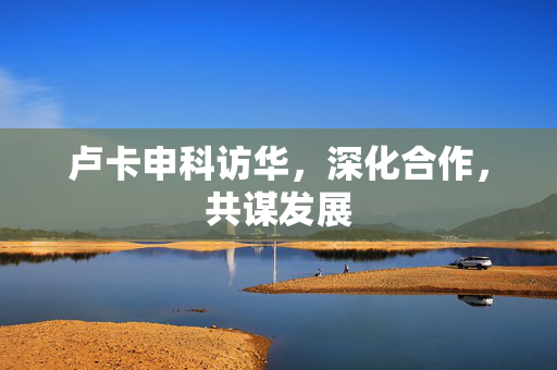 卢卡申科访华，深化合作，共谋发展