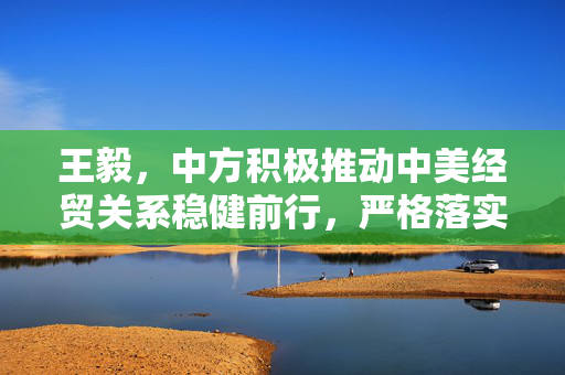 王毅，中方积极推动中美经贸关系稳健前行，严格落实会谈共识