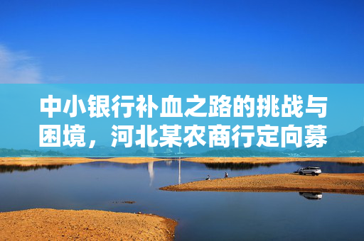 中小银行补血之路的挑战与困境，河北某农商行定向募股失败案例深度分析