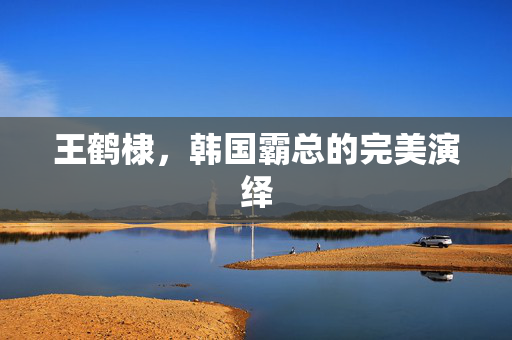 王鹤棣，韩国霸总的完美演绎
