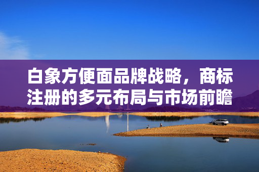 白象方便面品牌战略，商标注册的多元布局与市场前瞻