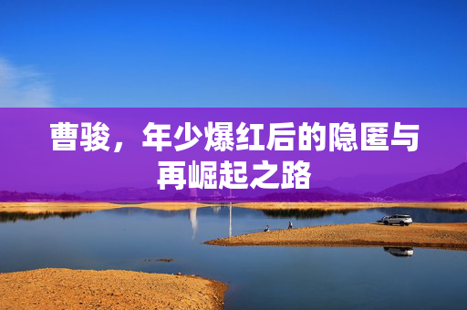 曹骏，年少爆红后的隐匿与再崛起之路