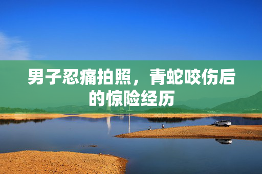 男子忍痛拍照，青蛇咬伤后的惊险经历