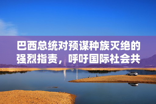 巴西总统对预谋种族灭绝的强烈指责，呼吁国际社会共同关注与行动