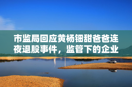 市监局回应黄杨钿甜爸爸连夜退股事件，监管下的企业责任与公众关注焦点