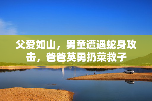 父爱如山，男童遭遇蛇身攻击，爸爸英勇扔菜救子