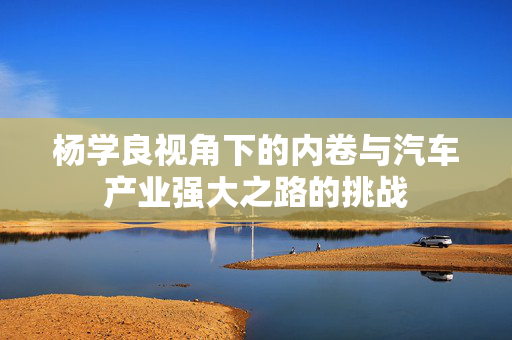 杨学良视角下的内卷与汽车产业强大之路的挑战