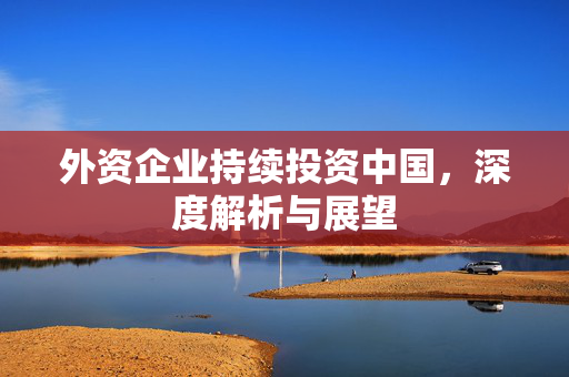外资企业持续投资中国，深度解析与展望