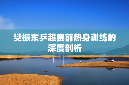 樊振东乒超赛前热身训练的深度剖析