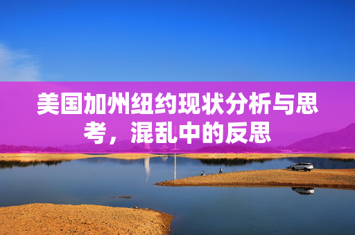 美国加州纽约现状分析与思考，混乱中的反思
