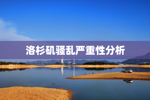 洛杉矶骚乱严重性分析