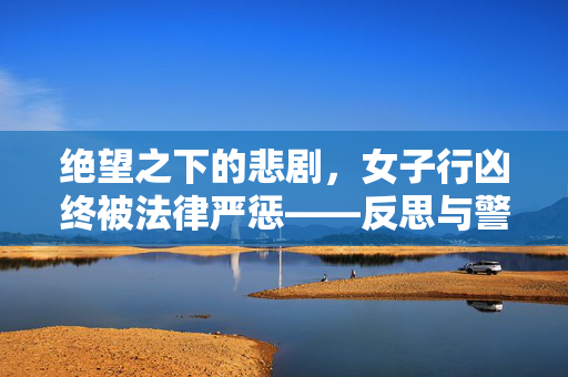 绝望之下的悲剧，女子行凶终被法律严惩——反思与警醒