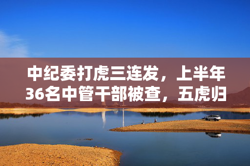 中纪委打虎三连发，上半年36名中管干部被查，五虎归案待揭晓