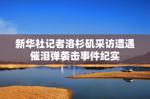 新华社记者洛杉矶采访遭遇催泪弹袭击事件纪实