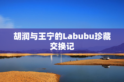 胡润与王宁的Labubu珍藏交换记