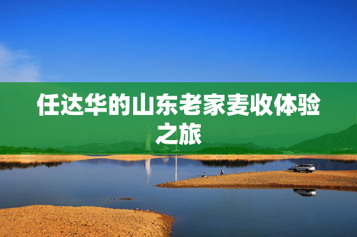 任达华的山东老家麦收体验之旅