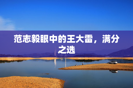 范志毅眼中的王大雷，满分之选