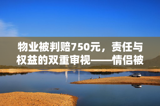 物业被判赔750元，责任与权益的双重审视——情侣被困电梯误机事件分析
