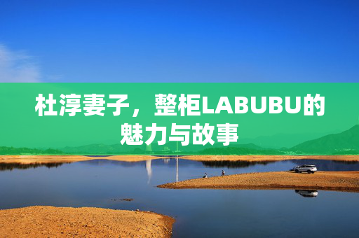 杜淳妻子，整柜LABUBU的魅力与故事