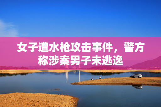女子遭水枪攻击事件，警方称涉案男子未逃逸