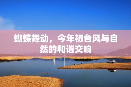 蝴蝶舞动，今年初台风与自然的和谐交响