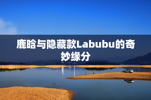 鹿晗与隐藏款Labubu的奇妙缘分