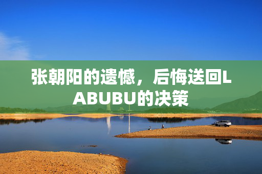 张朝阳的遗憾，后悔送回LABUBU的决策