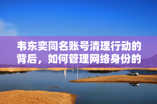 韦东奕同名账号清理行动的背后，如何管理网络身份的混乱与挑战