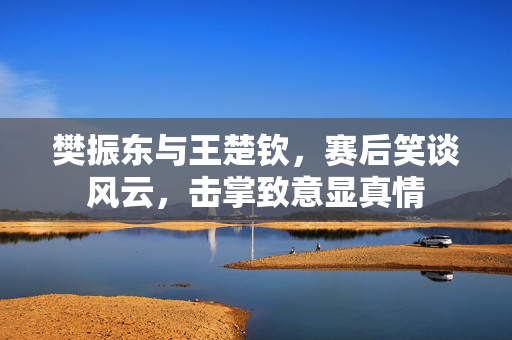 樊振东与王楚钦，赛后笑谈风云，击掌致意显真情