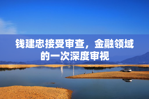 钱建忠接受审查,金融领域的一次深度审视 钱建忠接受审查,金融领域的一次深度审视