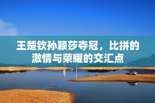 王楚钦孙颖莎夺冠，比拼的激情与荣耀的交汇点