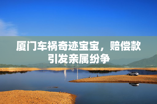 厦门车祸奇迹宝宝，赔偿款引发亲属纷争