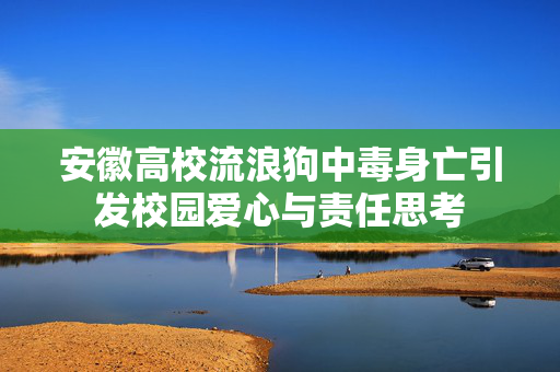 安徽高校流浪狗中毒身亡引发校园爱心与责任思考
