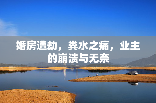 婚房遭劫，粪水之痛，业主的崩溃与无奈