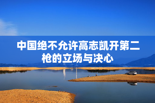 中国绝不允许高志凯开第二枪的立场与决心