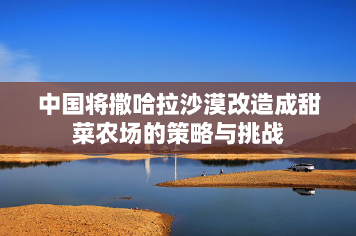 中国将撒哈拉沙漠改造成甜菜农场的策略与挑战