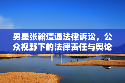 男星张翰遭遇法律诉讼，公众视野下的法律责任与舆论风波