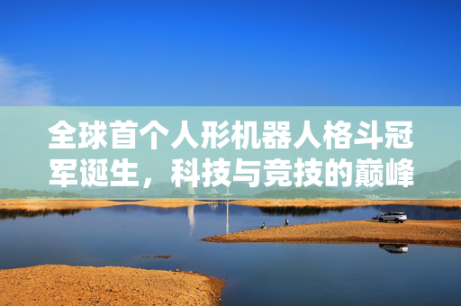 全球首个人形机器人格斗冠军诞生，科技与竞技的巅峰对决