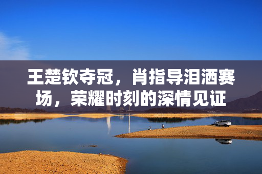 王楚钦夺冠，肖指导泪洒赛场，荣耀时刻的深情见证