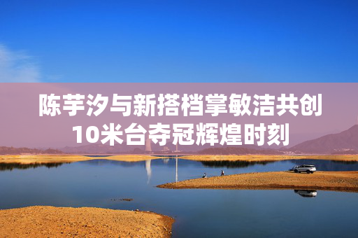 陈芋汐与新搭档掌敏洁共创10米台夺冠辉煌时刻