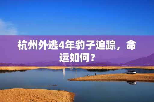 杭州外逃4年豹子追踪，命运如何？