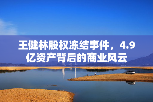 王健林股权冻结事件，4.9亿资产背后的商业风云