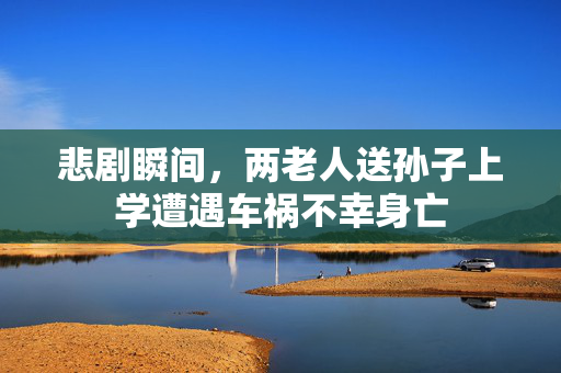 悲剧瞬间，两老人送孙子上学遭遇车祸不幸身亡