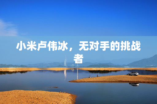 小米卢伟冰，无对手的挑战者