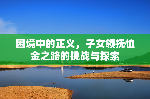 困境中的正义，子女领抚恤金之路的挑战与探索